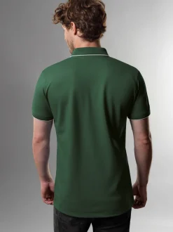 Dreifarbiges Polohemd Efeu