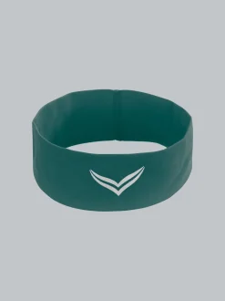 Haar-/Stirnband Efeu