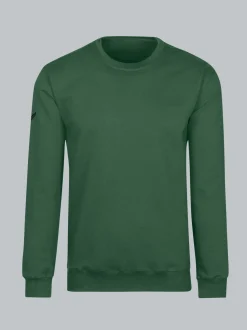 Sweatshirt aus Biobaumwolle Efeu