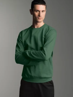 Sweatshirt aus Biobaumwolle Efeu