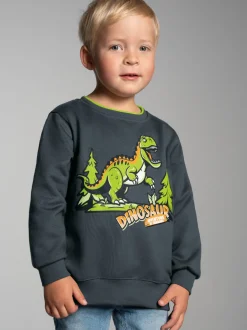 Sweatshirt mit großem Dino-Printmotiv Anthrazit