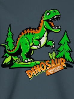 Sweatshirt mit großem Dino-Printmotiv Anthrazit