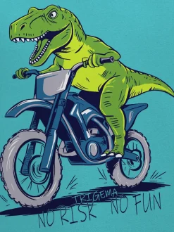 T Shirt mit Dino Motiv "No Risk No Fun" Mint