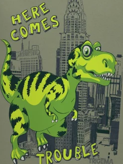 T-Shirt mit großem Dino-Printmotiv Salbei